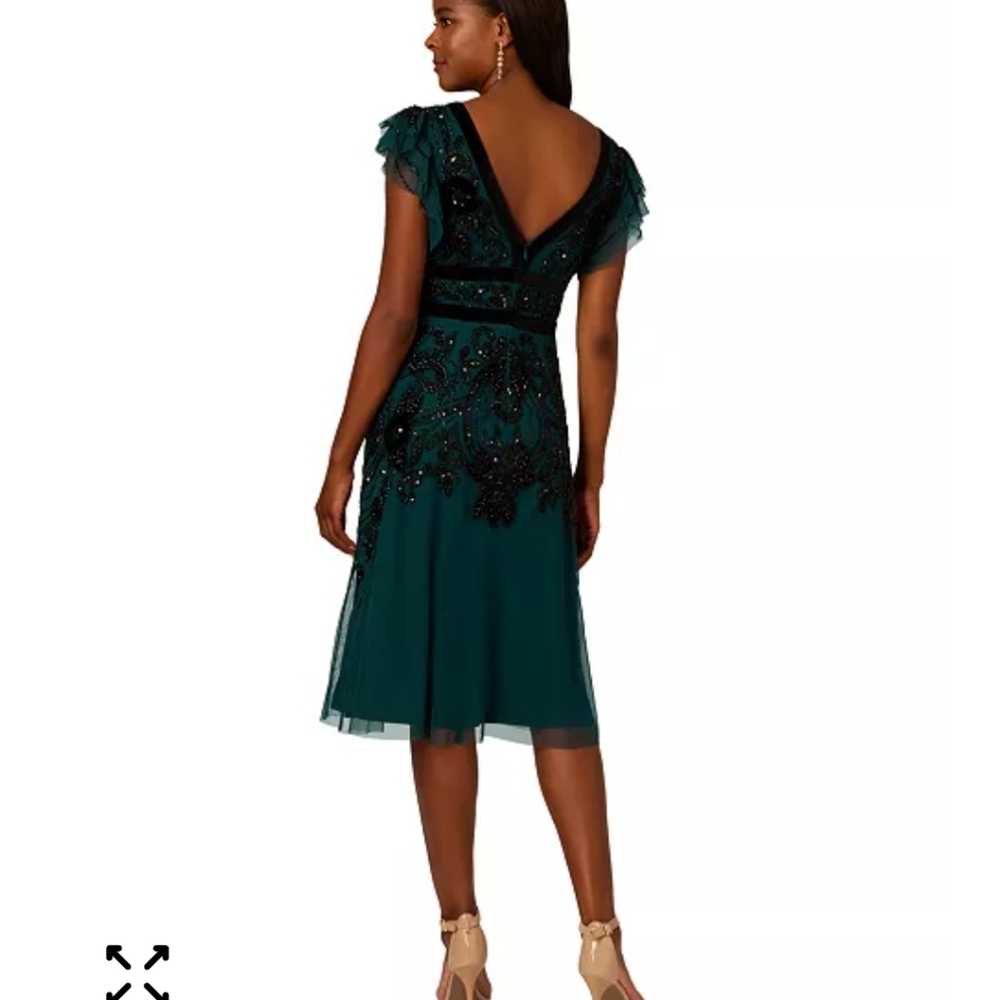 $799 Adrianna Papell Velvet-Trim Embellished Midi Bead Mesh Dress Sz 2 Old Money - Picture 2 of 16